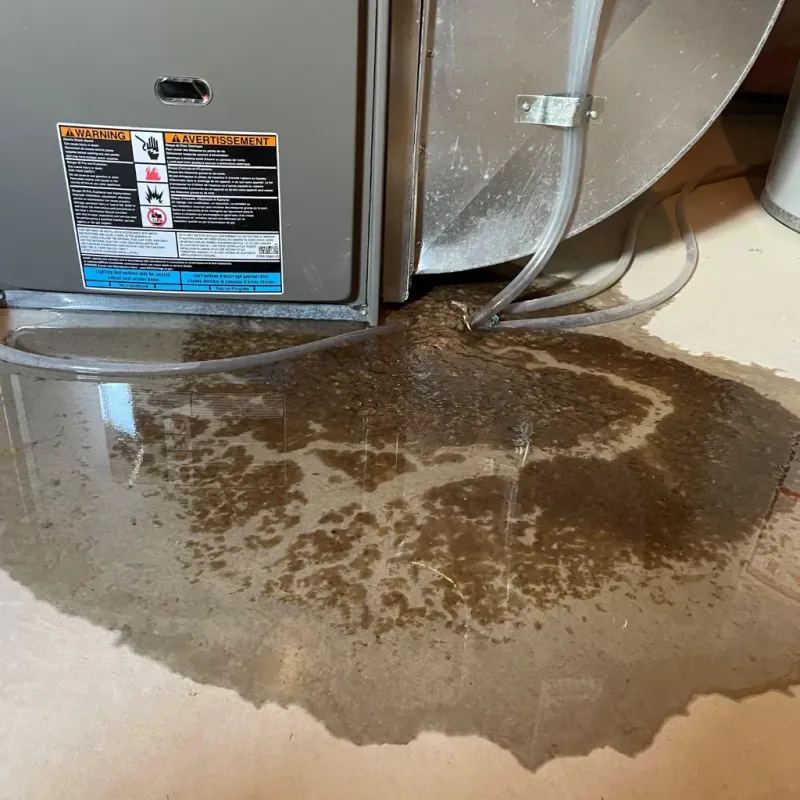 Appliance Leak Cleanup in Harrison County, IN